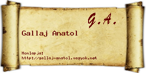 Gallaj Anatol névjegykártya