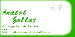 anatol gallaj business card